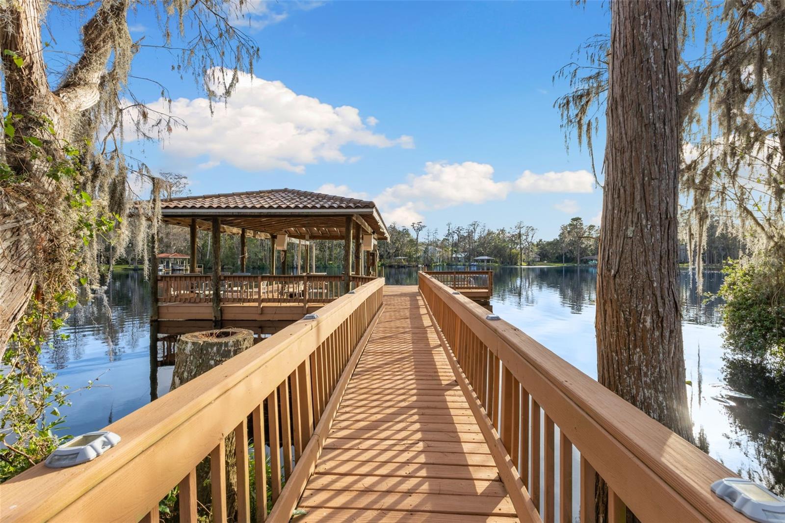 16203 SENTRY WOODS CT, ODESSA, FL, 33556