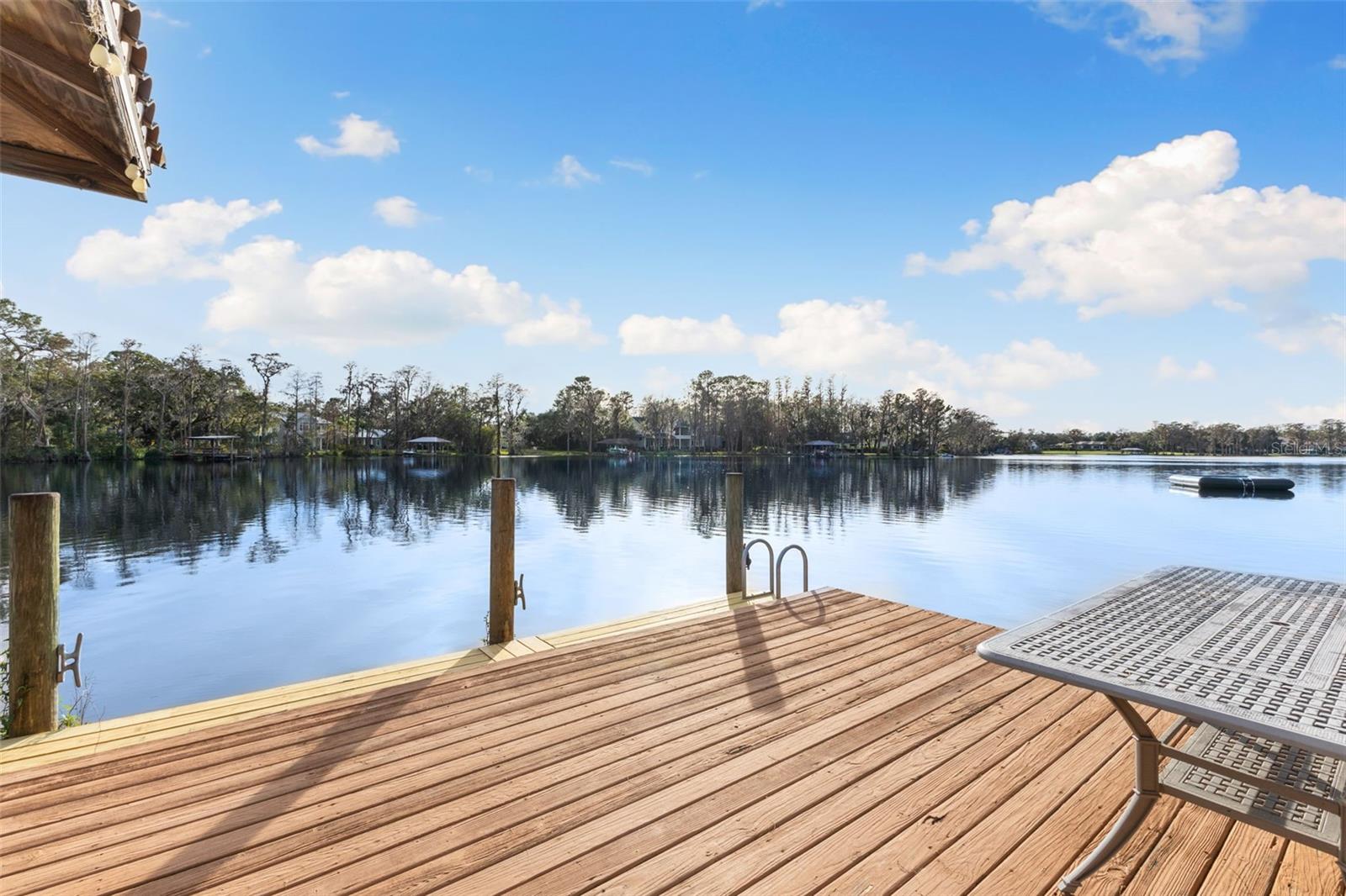 16203 SENTRY WOODS CT, ODESSA, FL, 33556