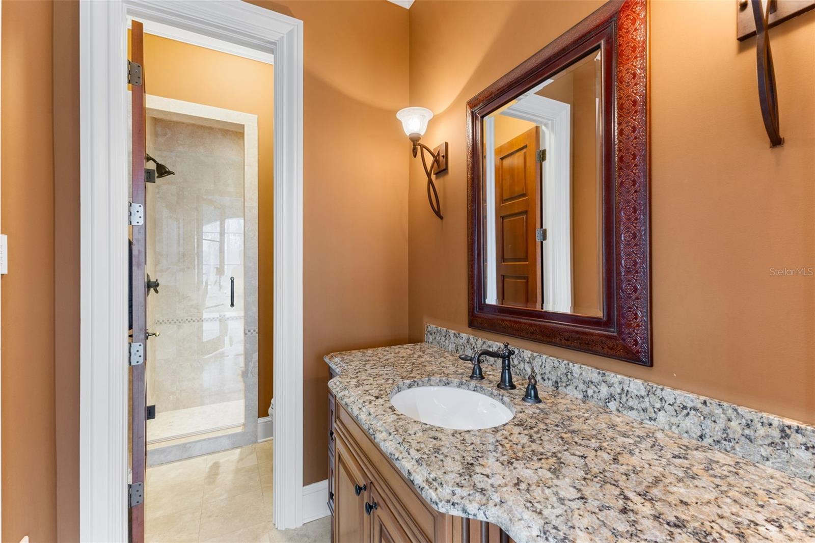 16203 SENTRY WOODS CT, ODESSA, FL, 33556