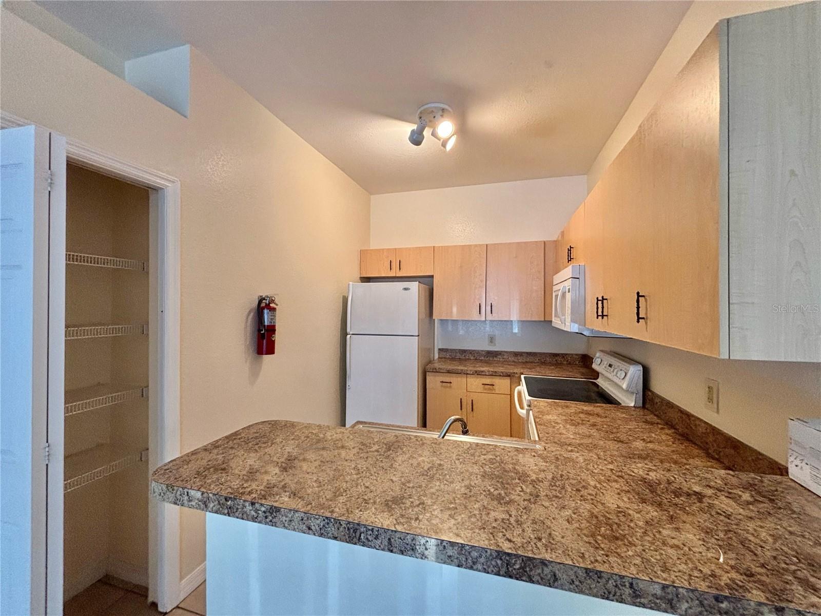 19102 INDIAN CREEK RD, KISSIMMEE, FL, 34759