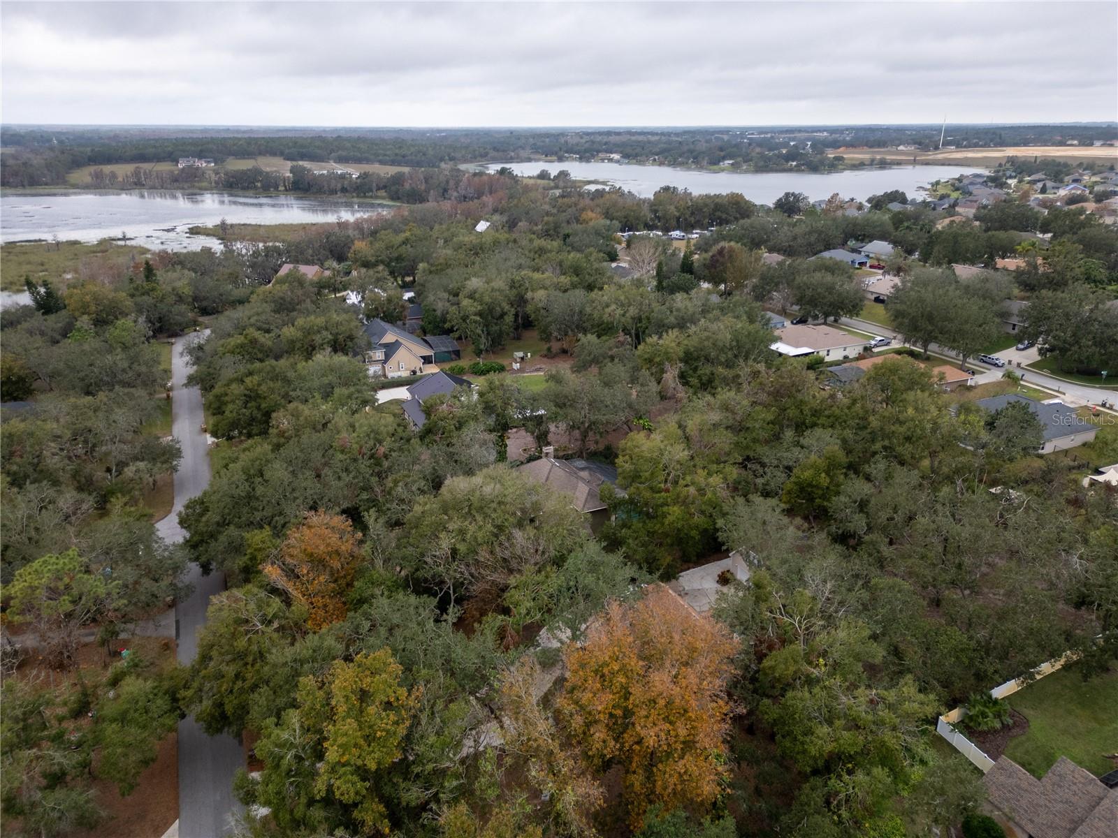 9029 MOSSY OAK LN, CLERMONT, FL, 34711