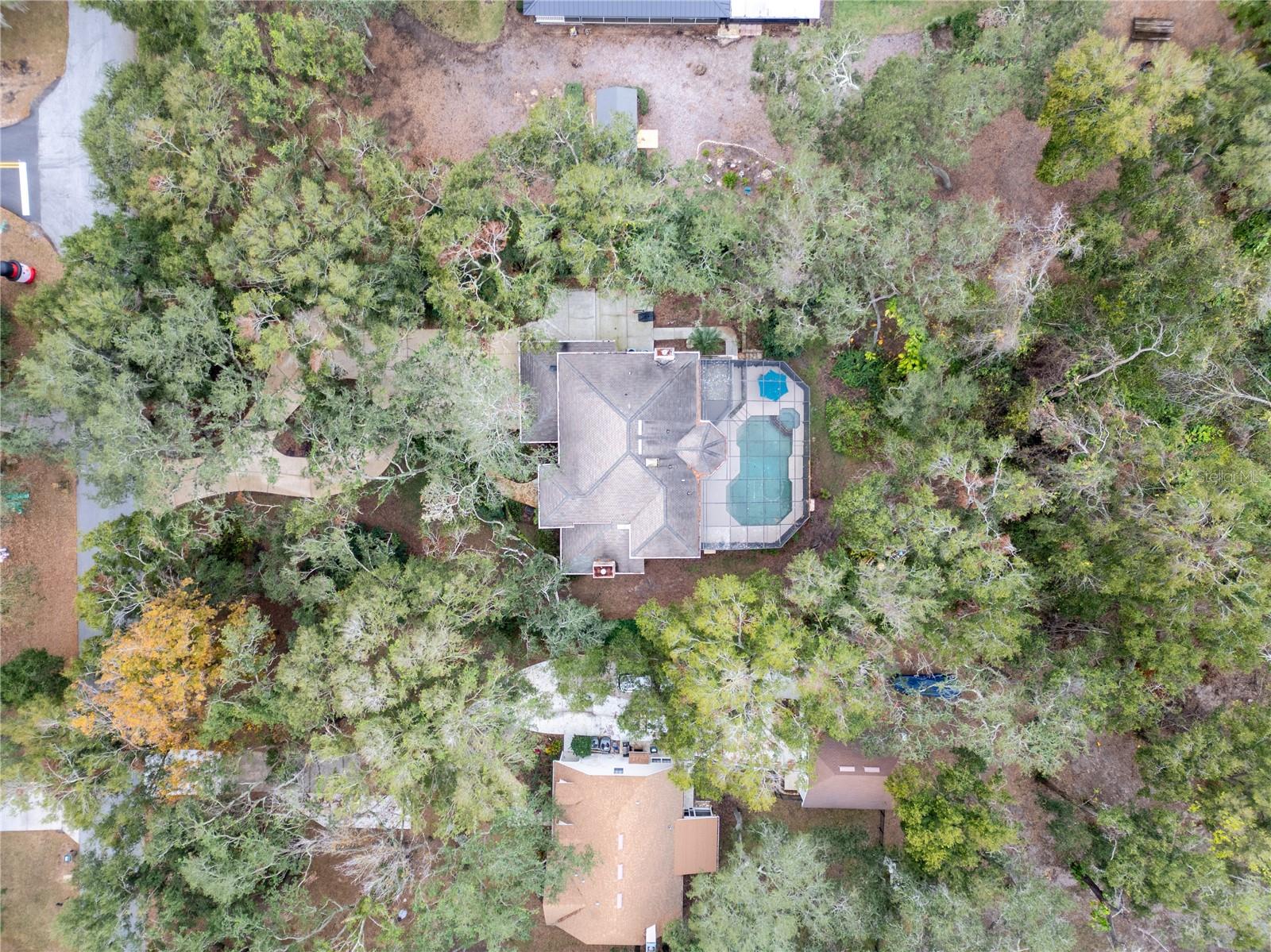 9029 MOSSY OAK LN, CLERMONT, FL, 34711
