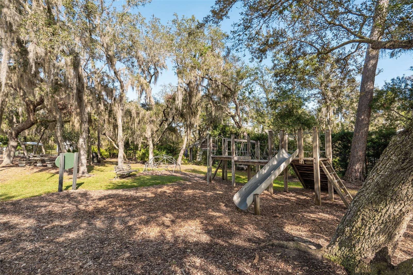 9029 MOSSY OAK LN, CLERMONT, FL, 34711