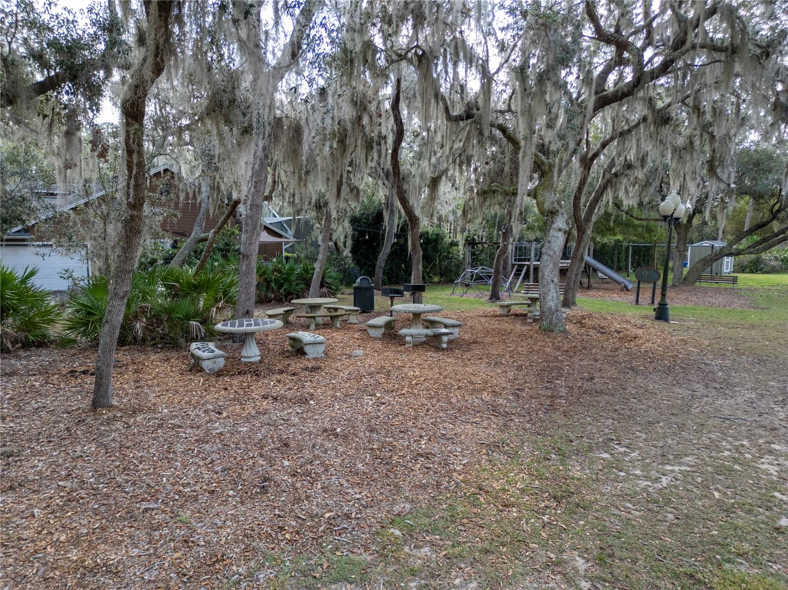 9029 MOSSY OAK LN, CLERMONT, FL, 34711