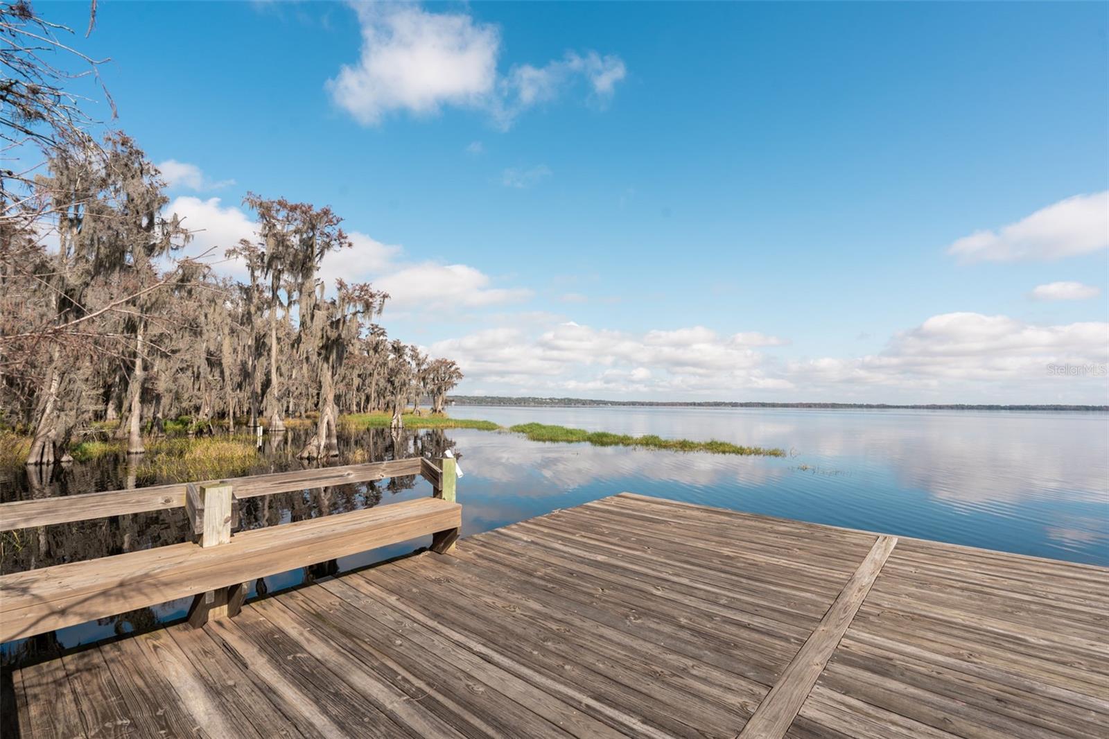 9029 MOSSY OAK LN, CLERMONT, FL, 34711