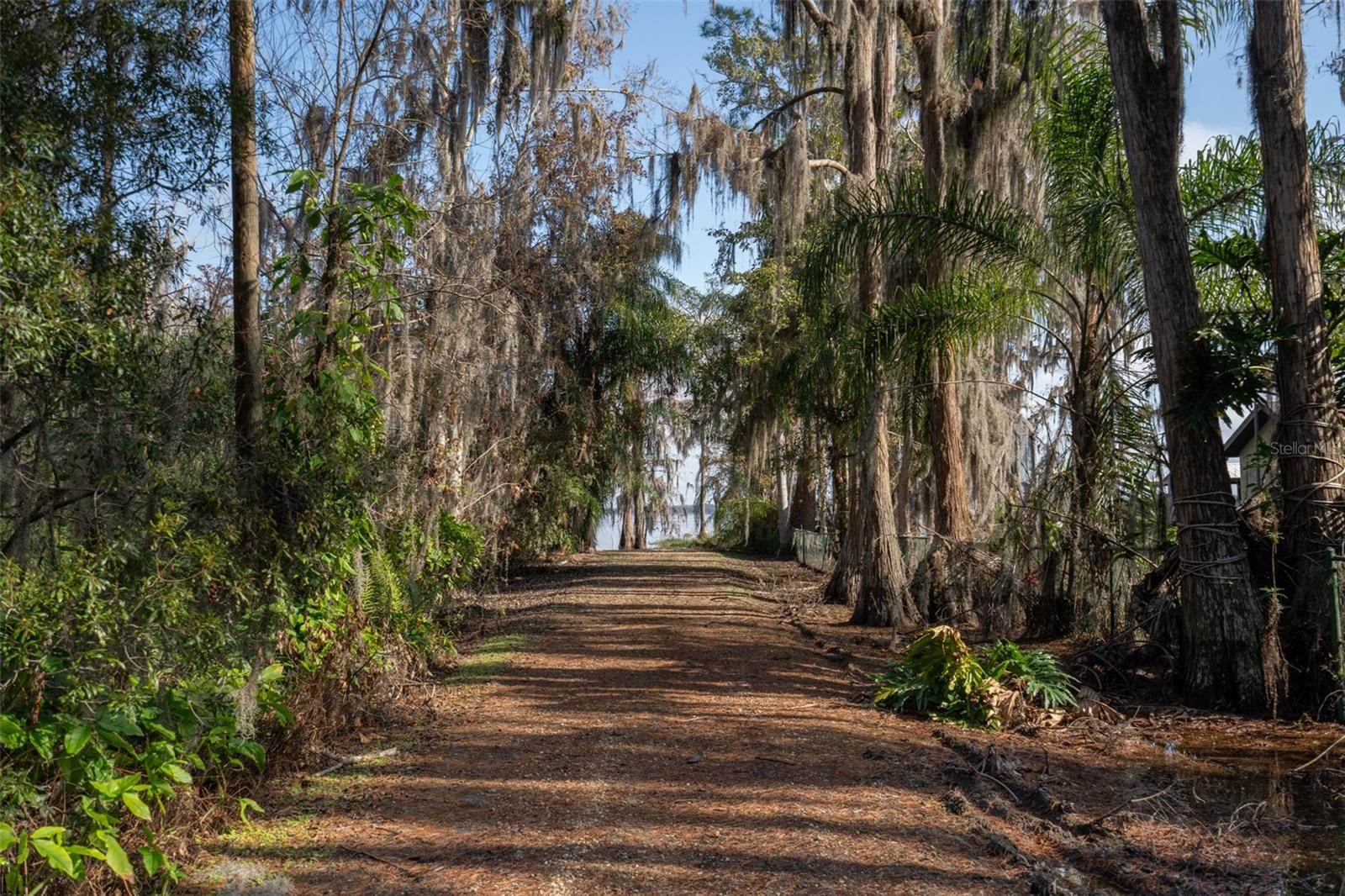 9029 MOSSY OAK LN, CLERMONT, FL, 34711