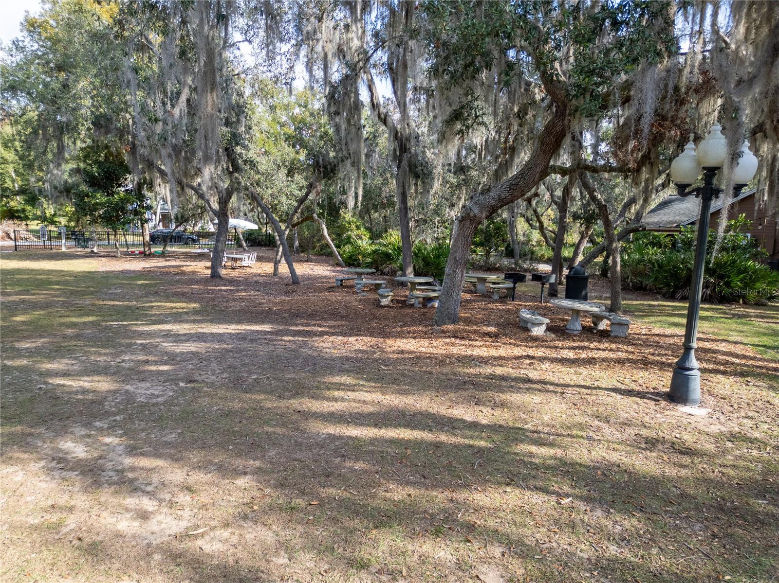 9029 MOSSY OAK LN, CLERMONT, FL, 34711