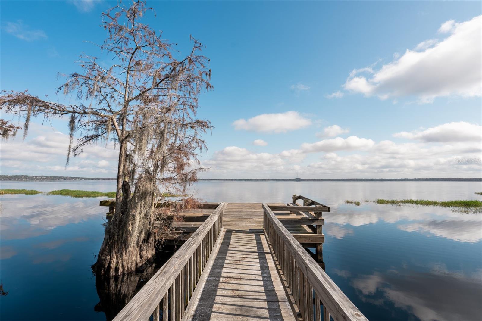 9029 MOSSY OAK LN, CLERMONT, FL, 34711