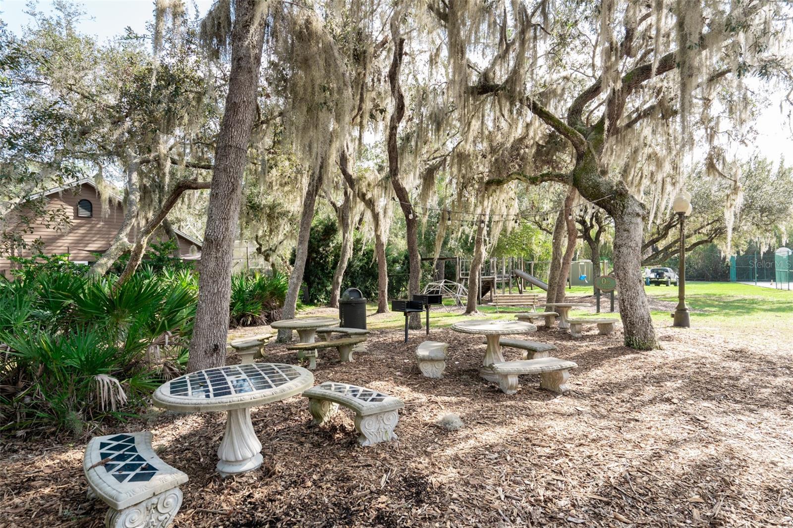 9029 MOSSY OAK LN, CLERMONT, FL, 34711