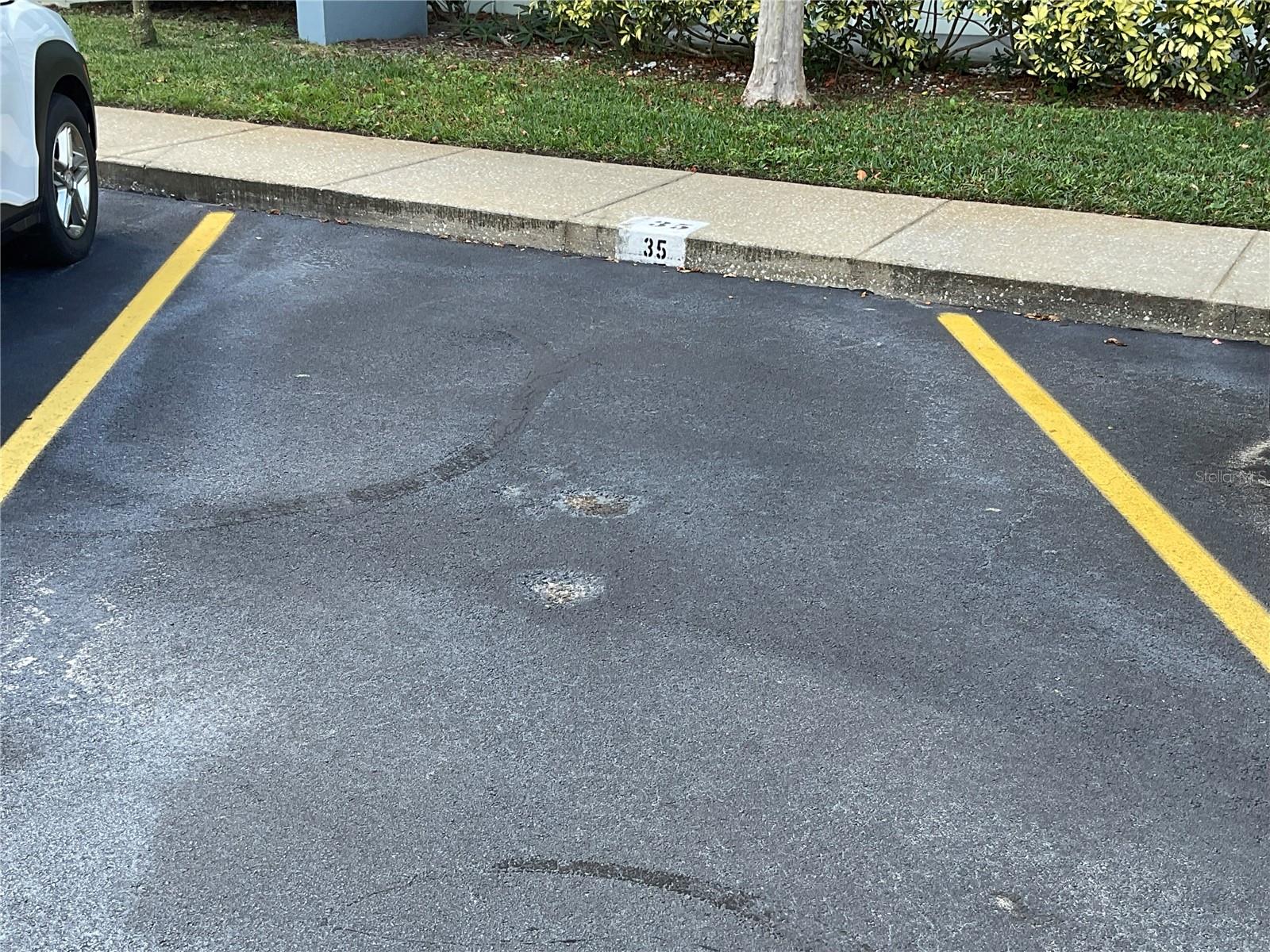 2255 PHILIPPINE DR #35, CLEARWATER, FL, 33763