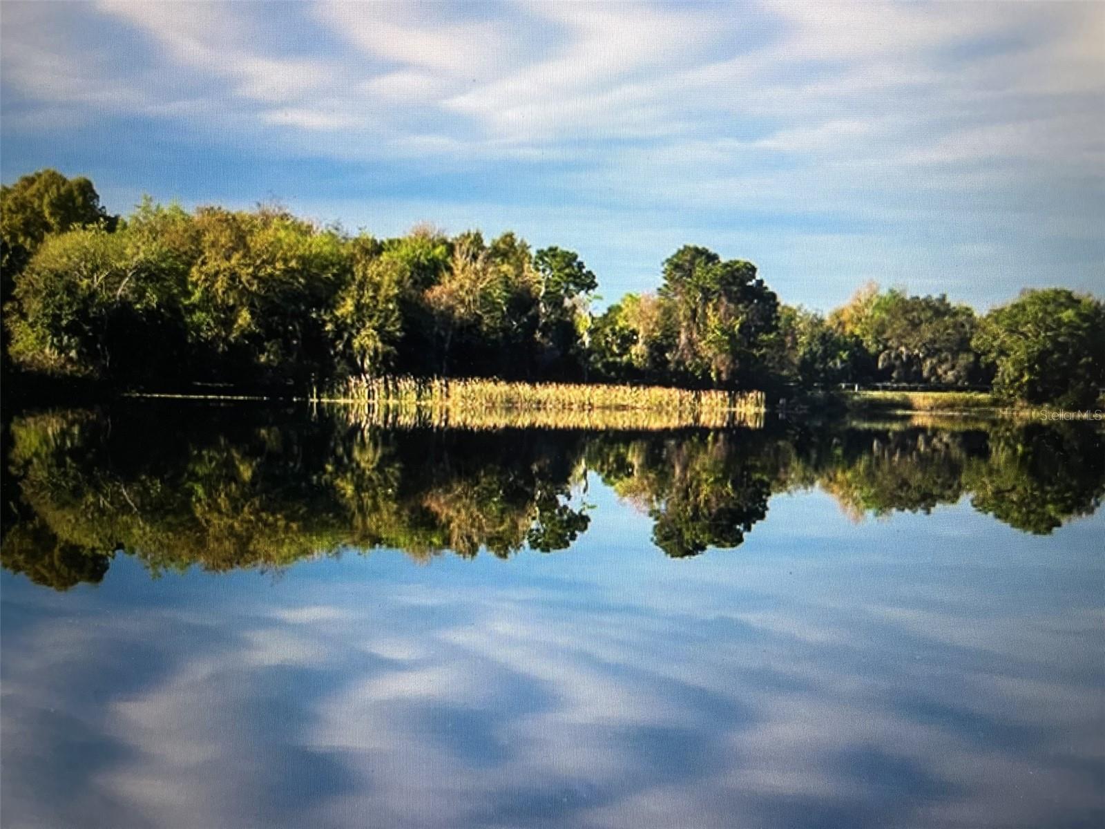 3406 LAKE DIANE RD, TAVARES, FL, 32778