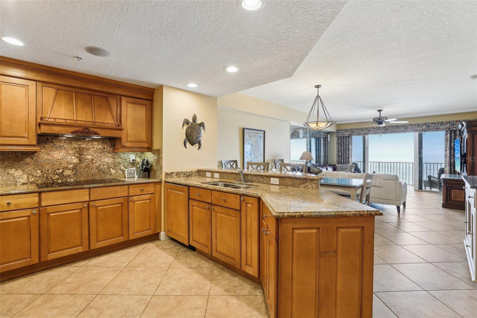 3799 S ATLANTIC AVE #303, DAYTONA BEACH, FL, 32118