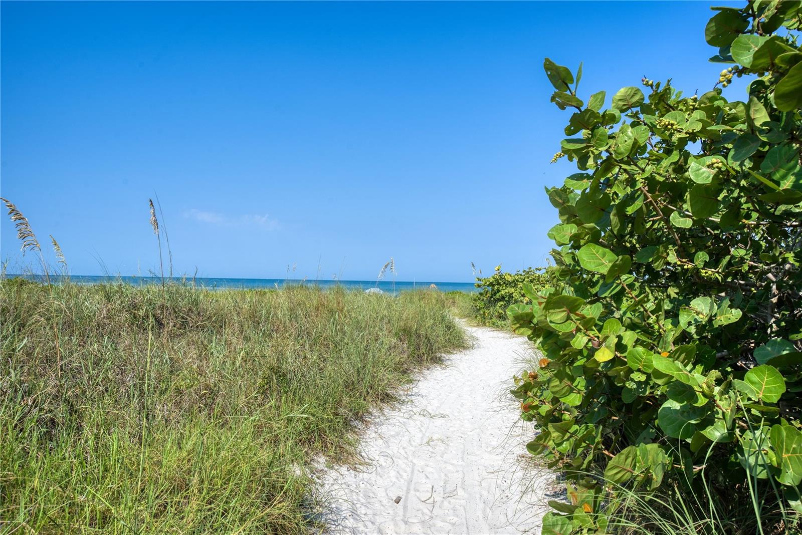 8710 MIDNIGHT PASS RD #205, SARASOTA, FL, 34242