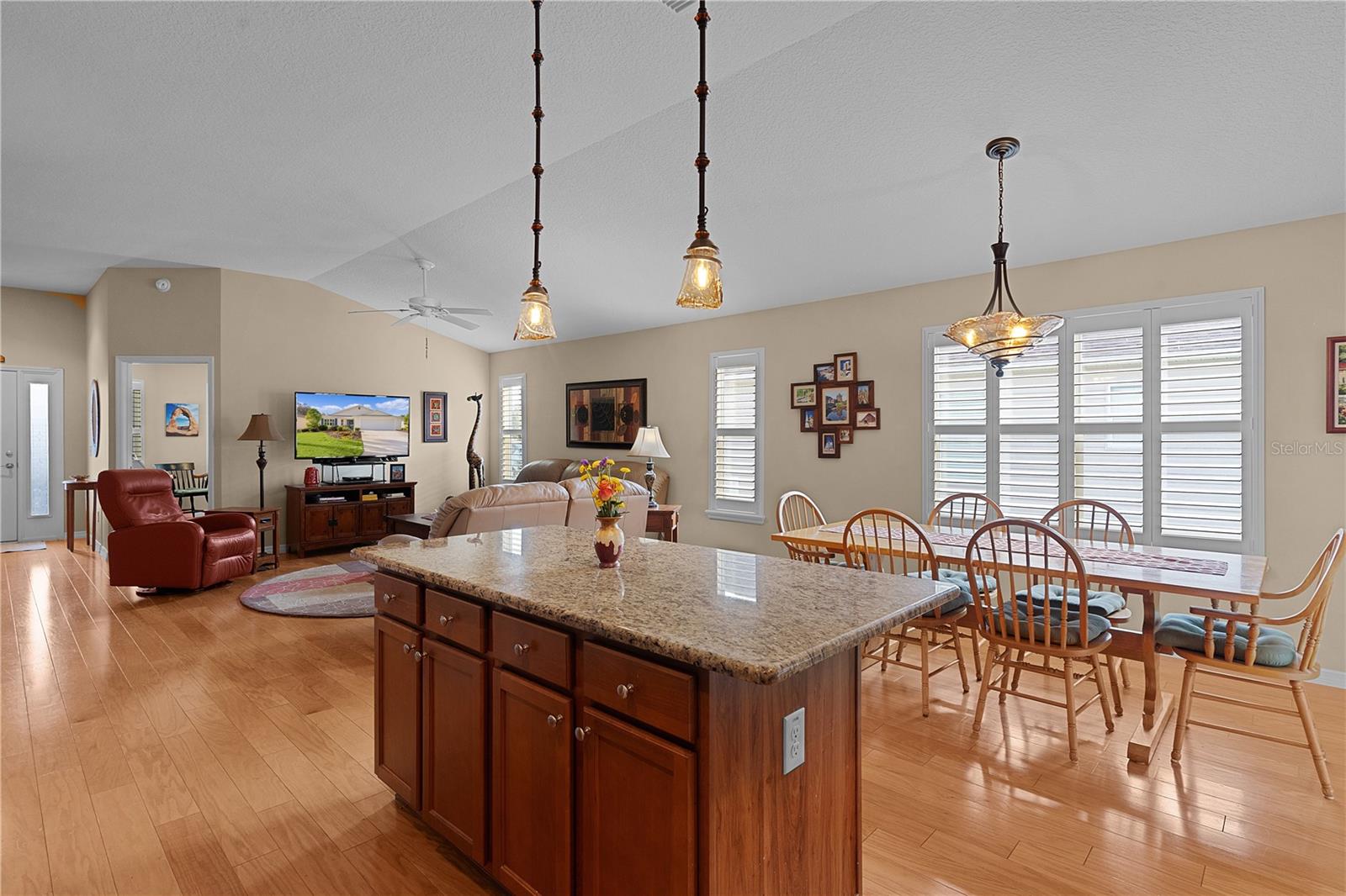 3786 INFINITY RUN, THE VILLAGES, FL, 32163
