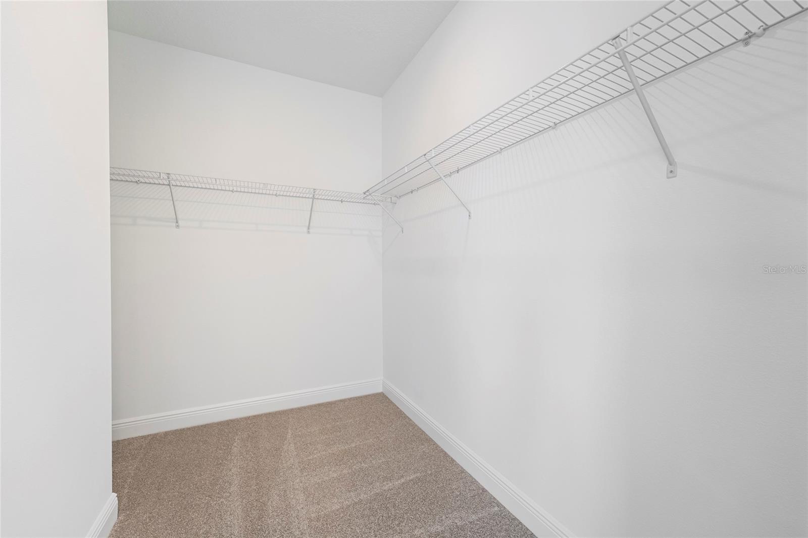 16950 HAMLIN OASIS LOOP, WINTER GARDEN, FL, 34787