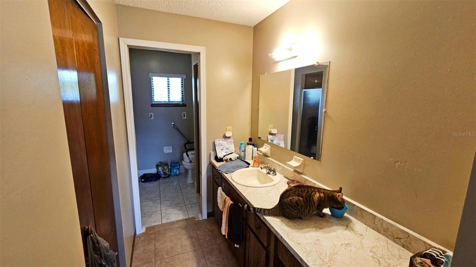 10210 SW 92ND TER, OCALA, FL, 34481