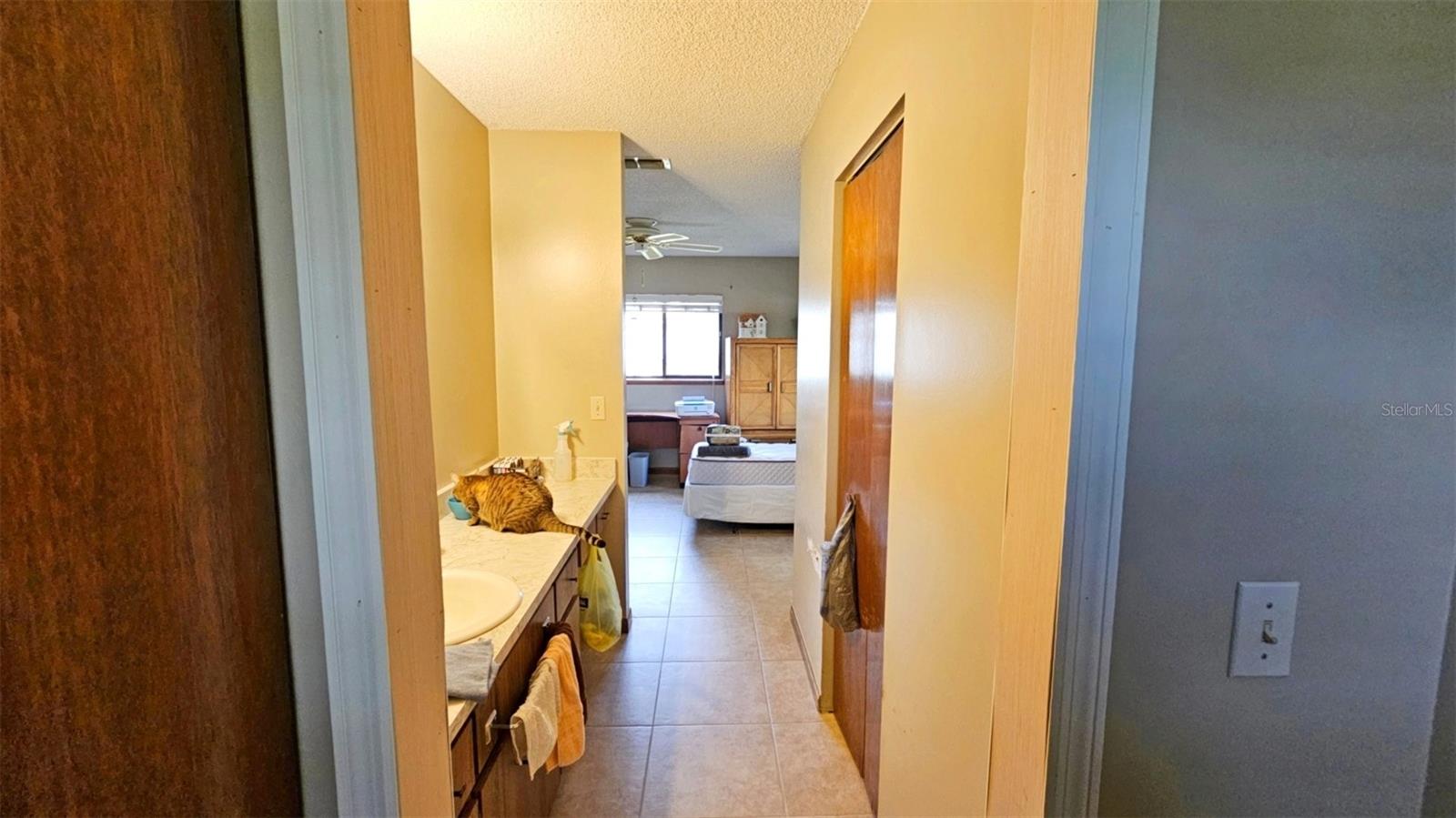 10210 SW 92ND TER, OCALA, FL, 34481