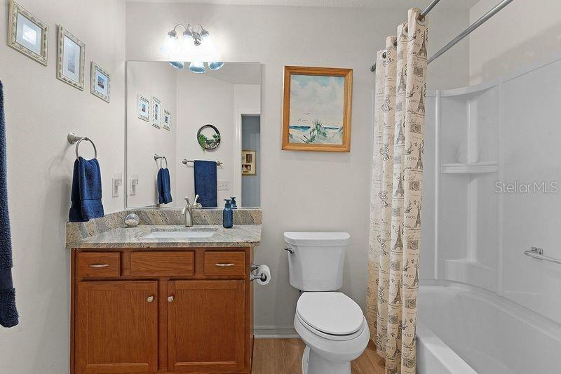 3447 RIDGEWOOD PATH, THE VILLAGES, FL, 32163