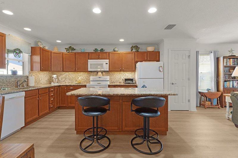 3447 RIDGEWOOD PATH, THE VILLAGES, FL, 32163