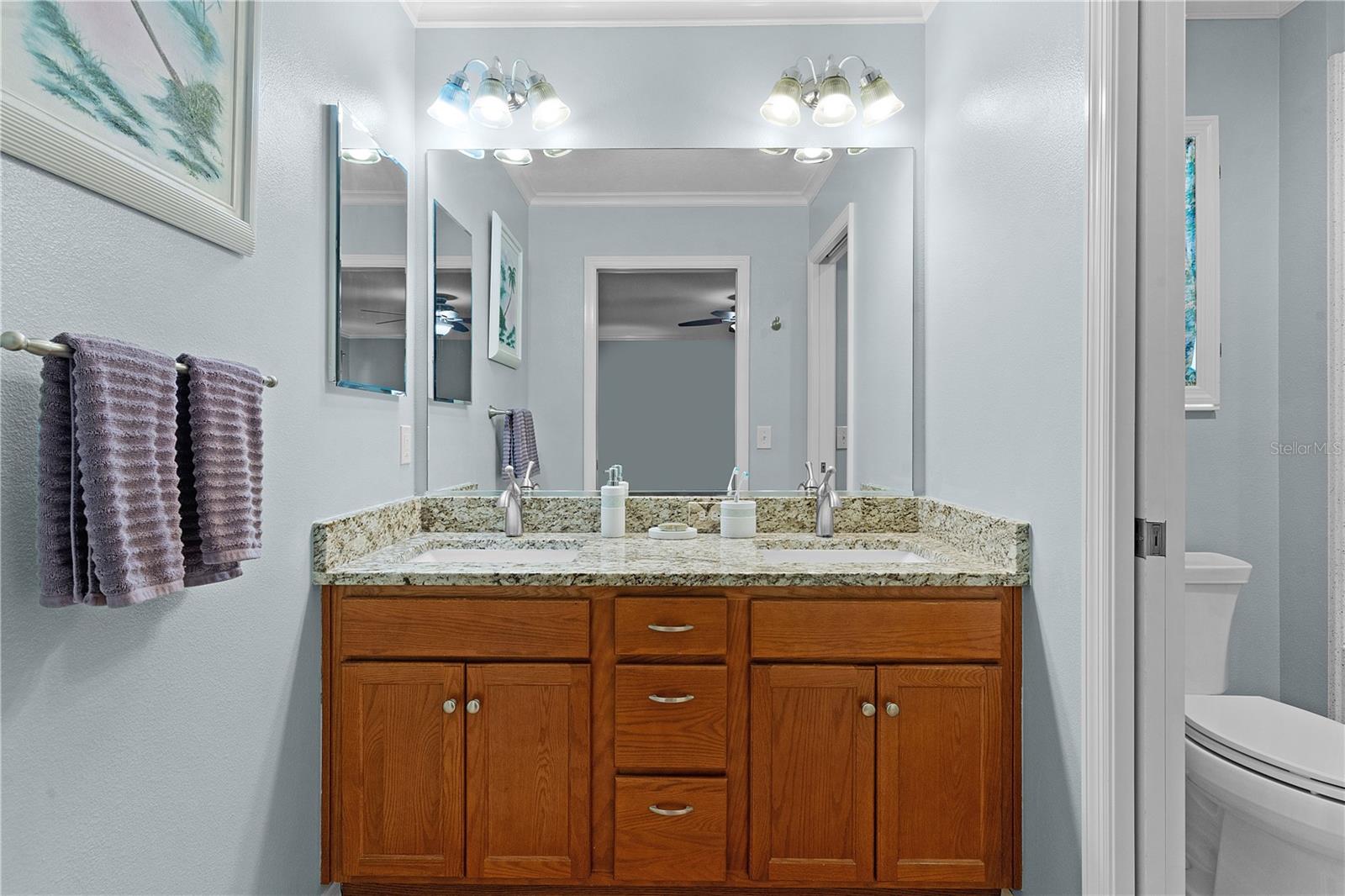 3447 RIDGEWOOD PATH, THE VILLAGES, FL, 32163