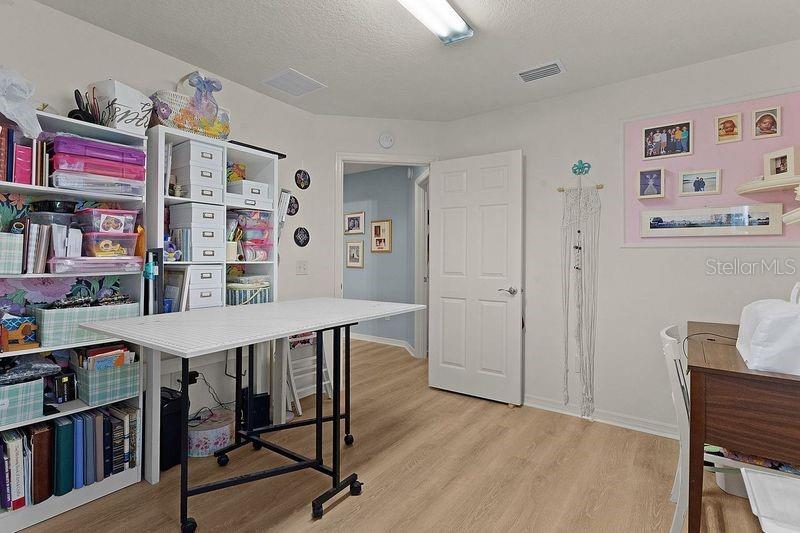 3447 RIDGEWOOD PATH, THE VILLAGES, FL, 32163