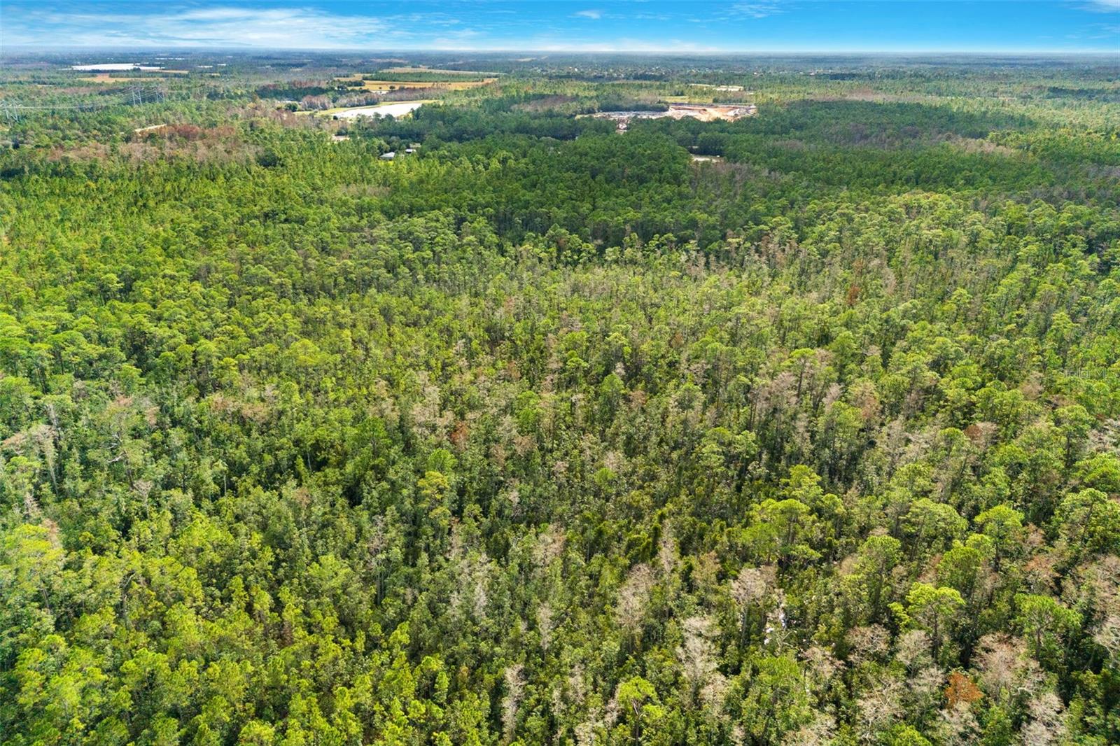 DILL RD, ORLANDO, FL, 32820