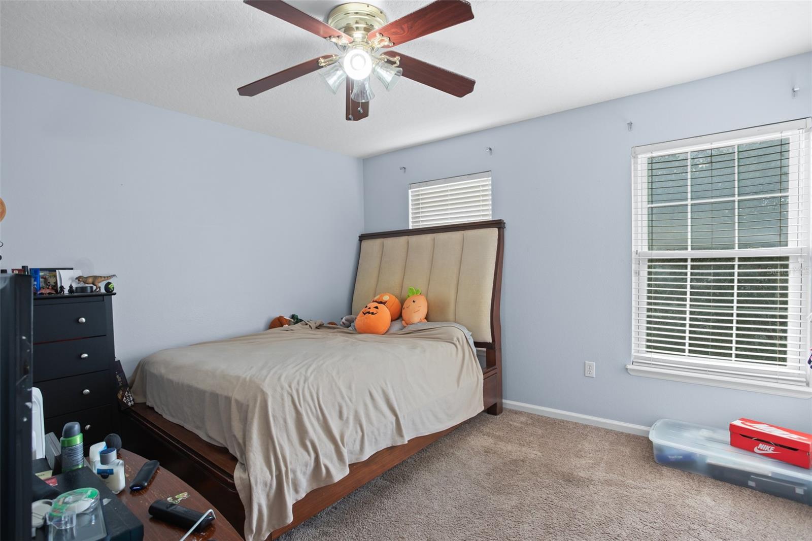 3809 SUN DEW DR, ORLANDO, FL, 32828