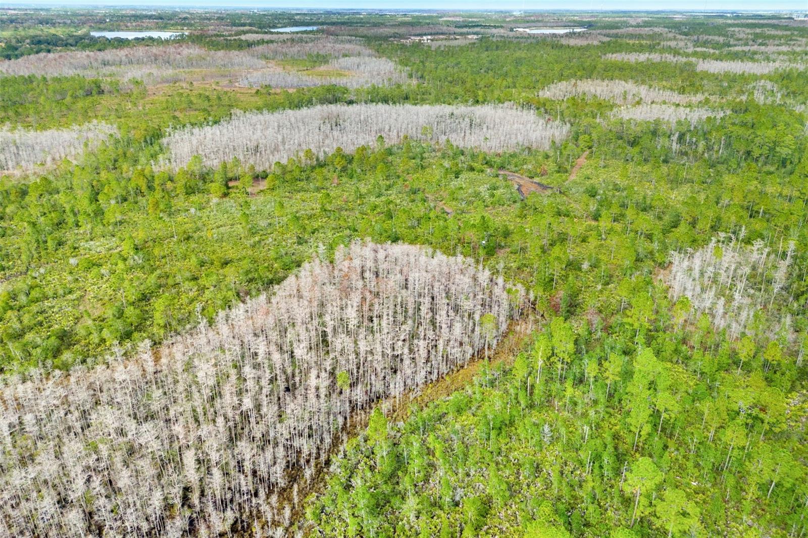 DILL RD, ORLANDO, FL, 32820