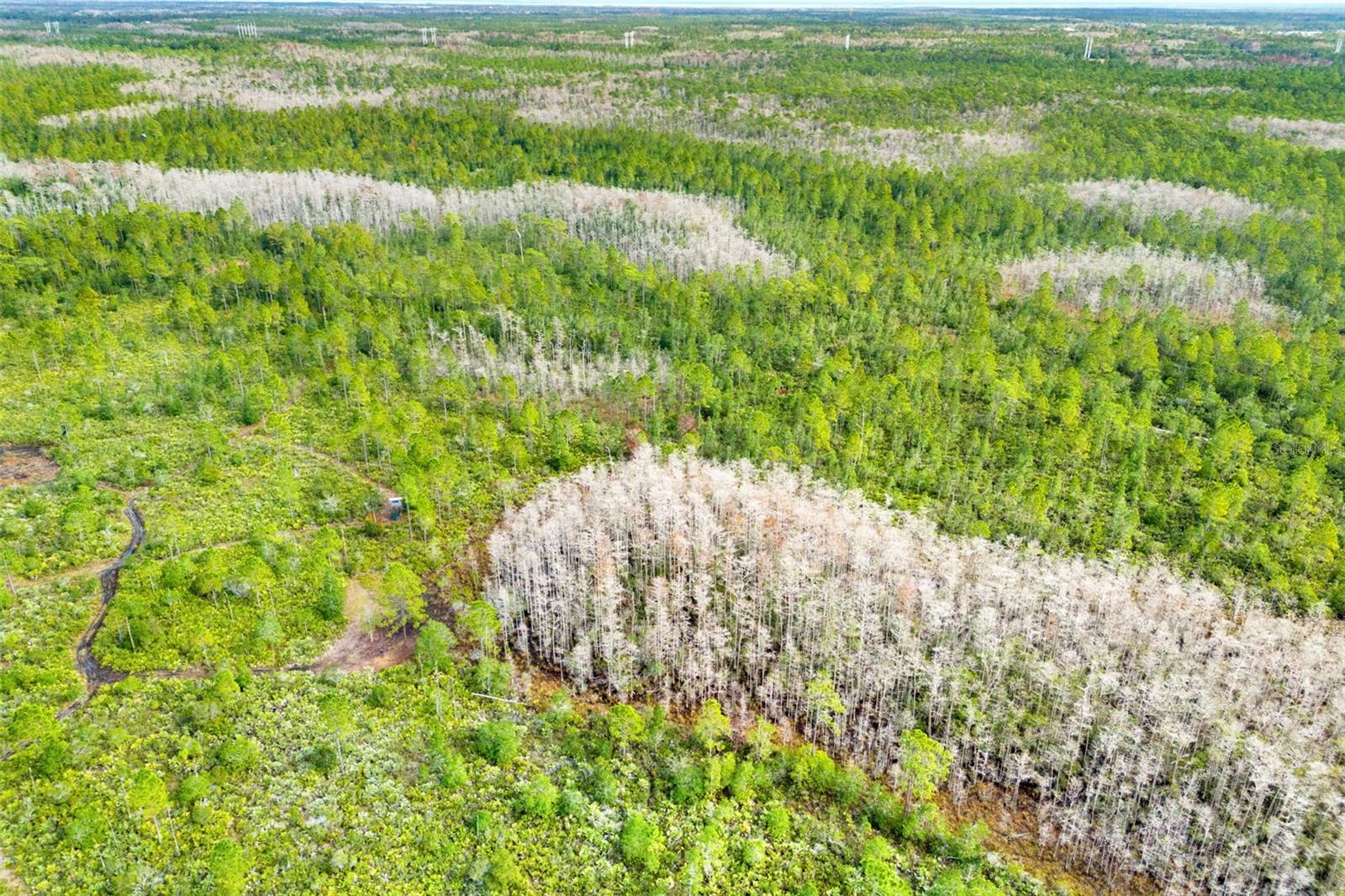 DILL RD, ORLANDO, FL, 32820