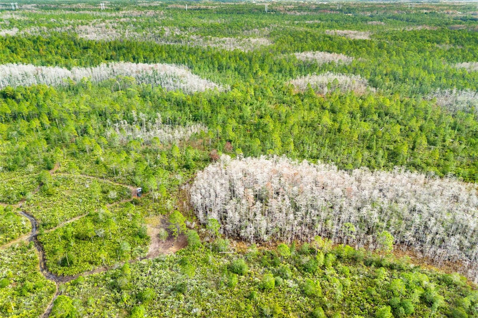 DILL RD, ORLANDO, FL, 32820