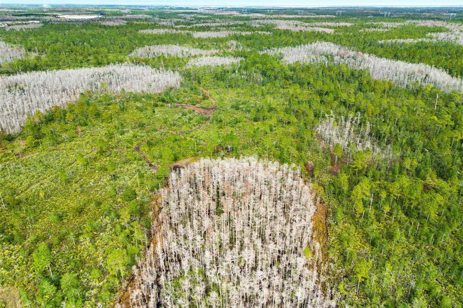 DILL RD, ORLANDO, FL, 32820