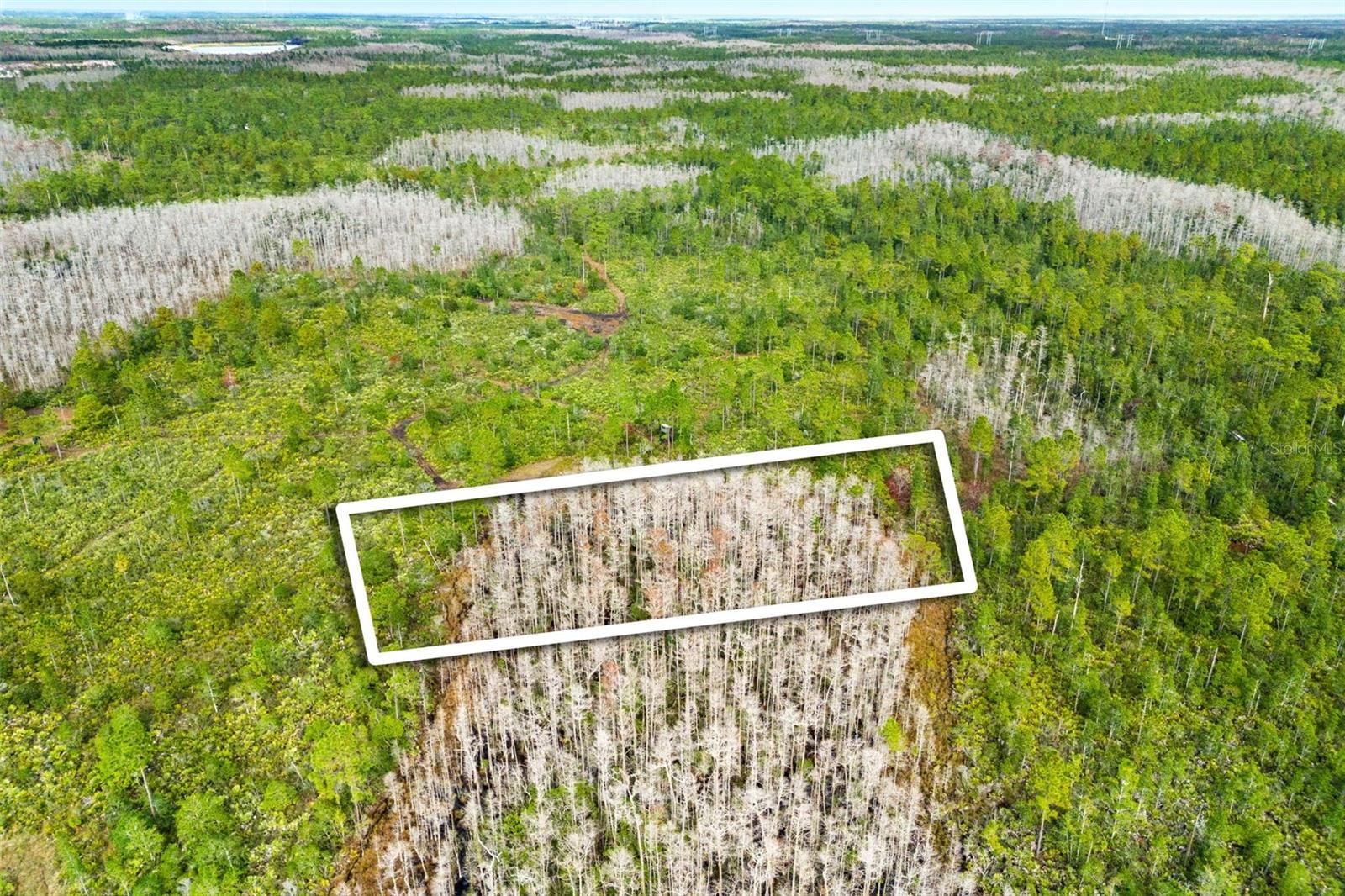 DILL RD, ORLANDO, FL, 32820