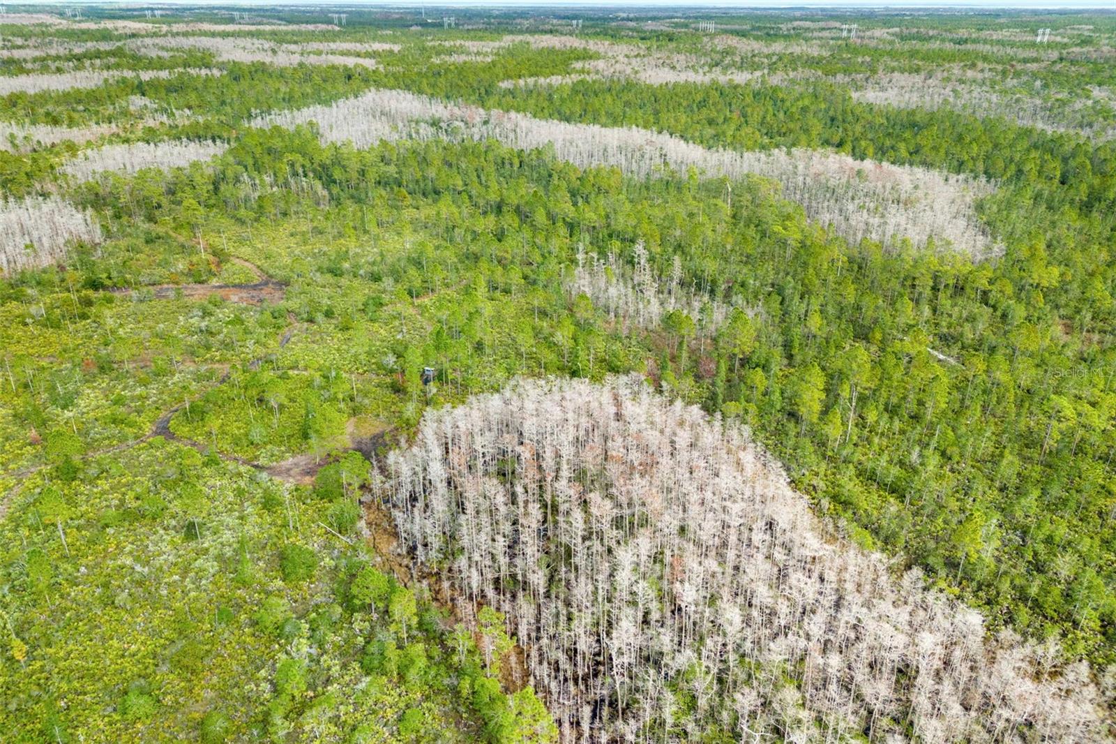 DILL RD, ORLANDO, FL, 32820