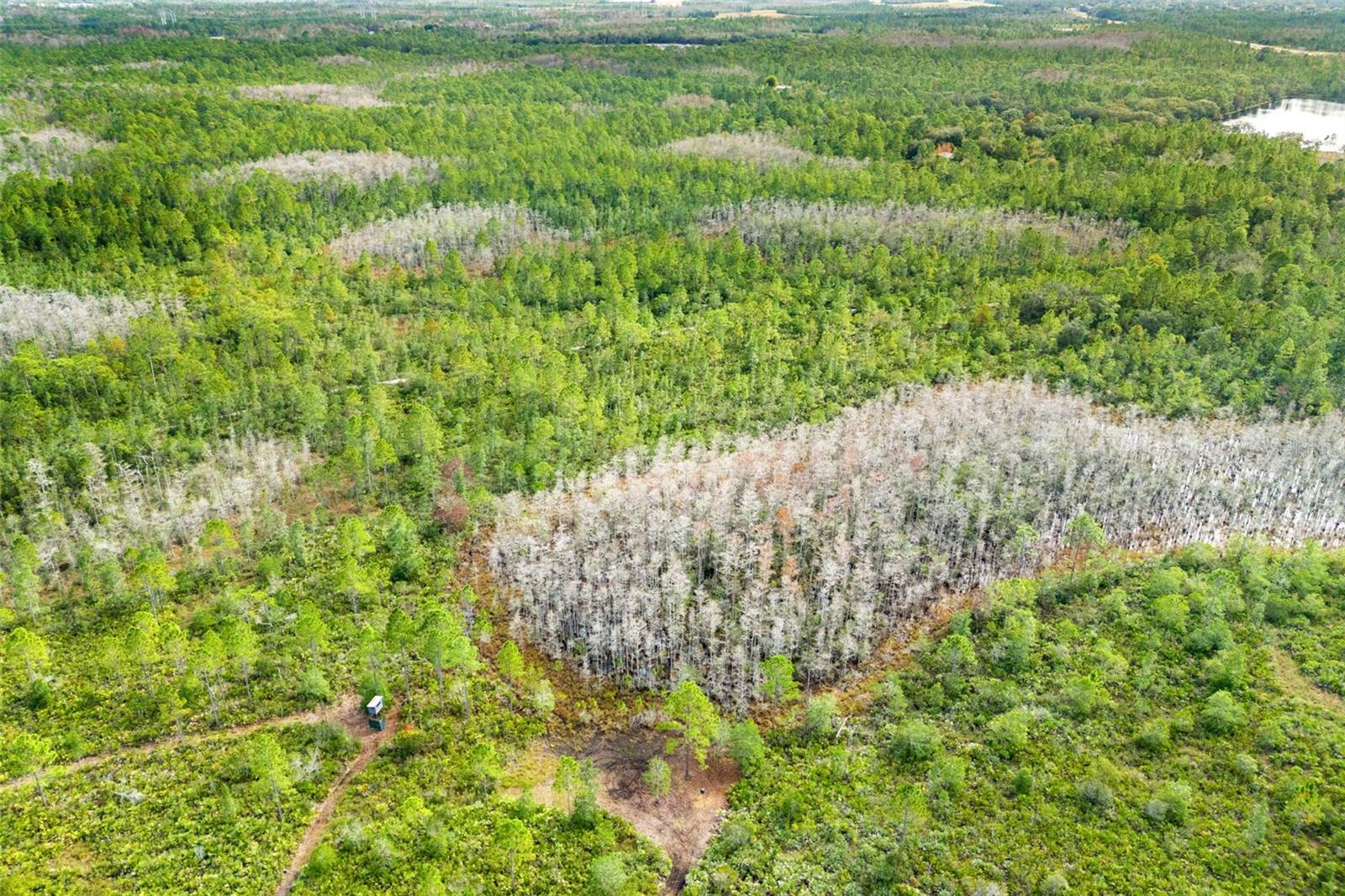 DILL RD, ORLANDO, FL, 32820