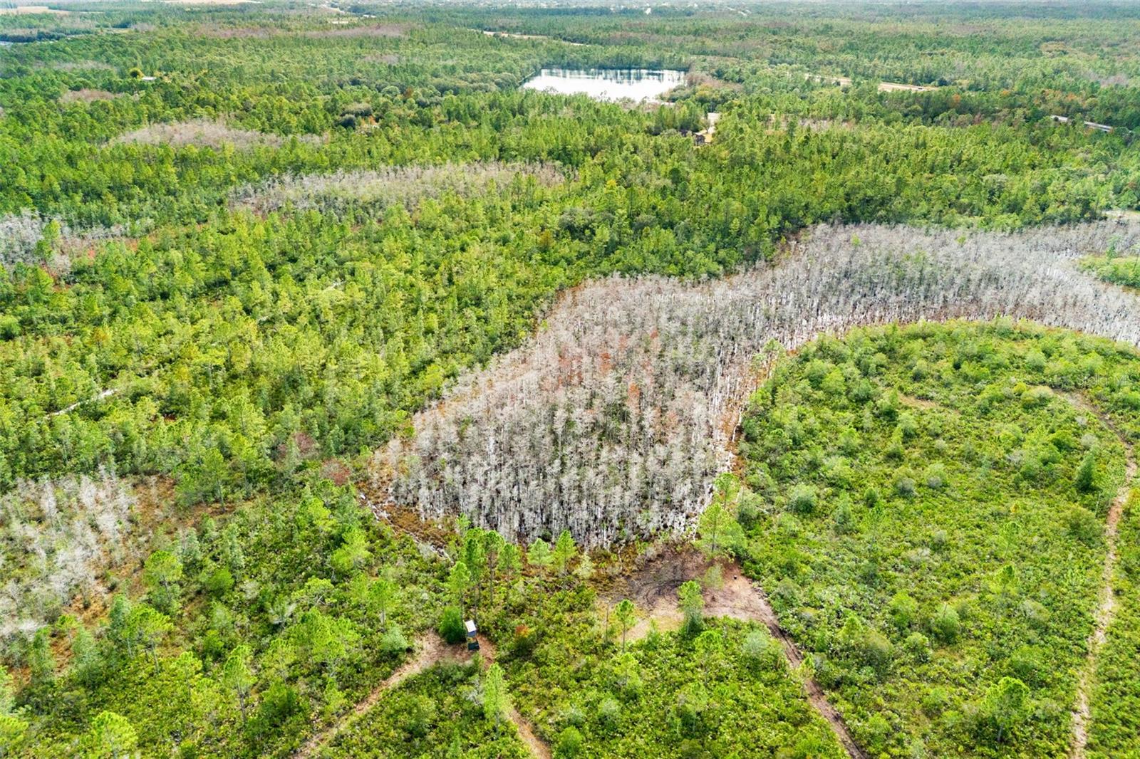 DILL RD, ORLANDO, FL, 32820