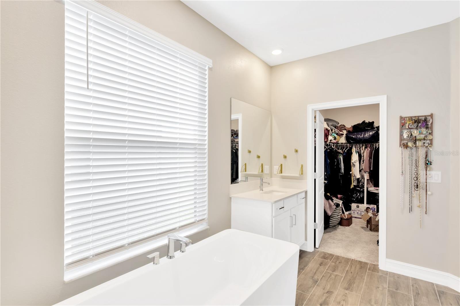 21680 VIOLET PERIWINKLE DR, LAND O LAKES, FL, 34637