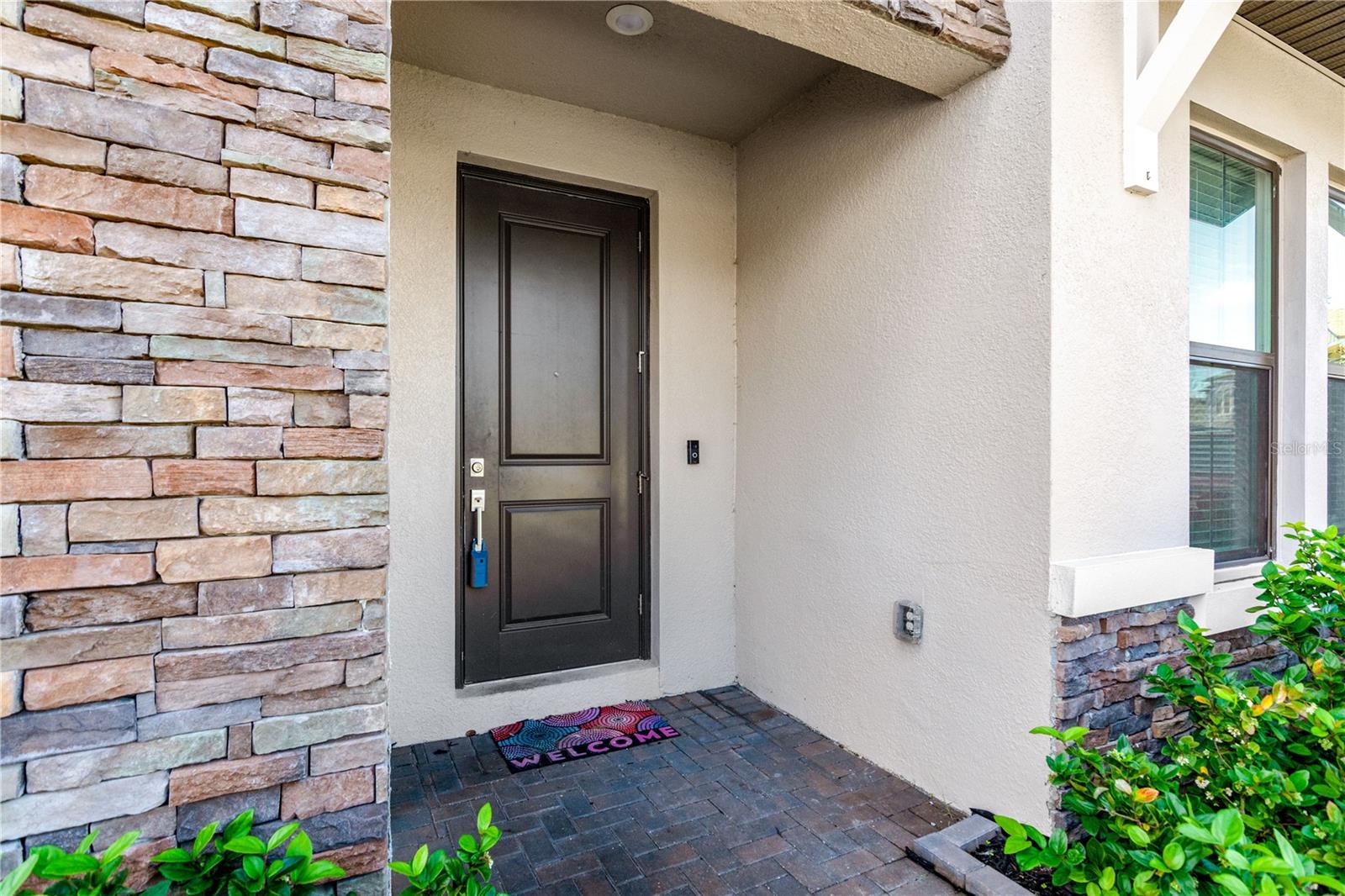 21680 VIOLET PERIWINKLE DR, LAND O LAKES, FL, 34637