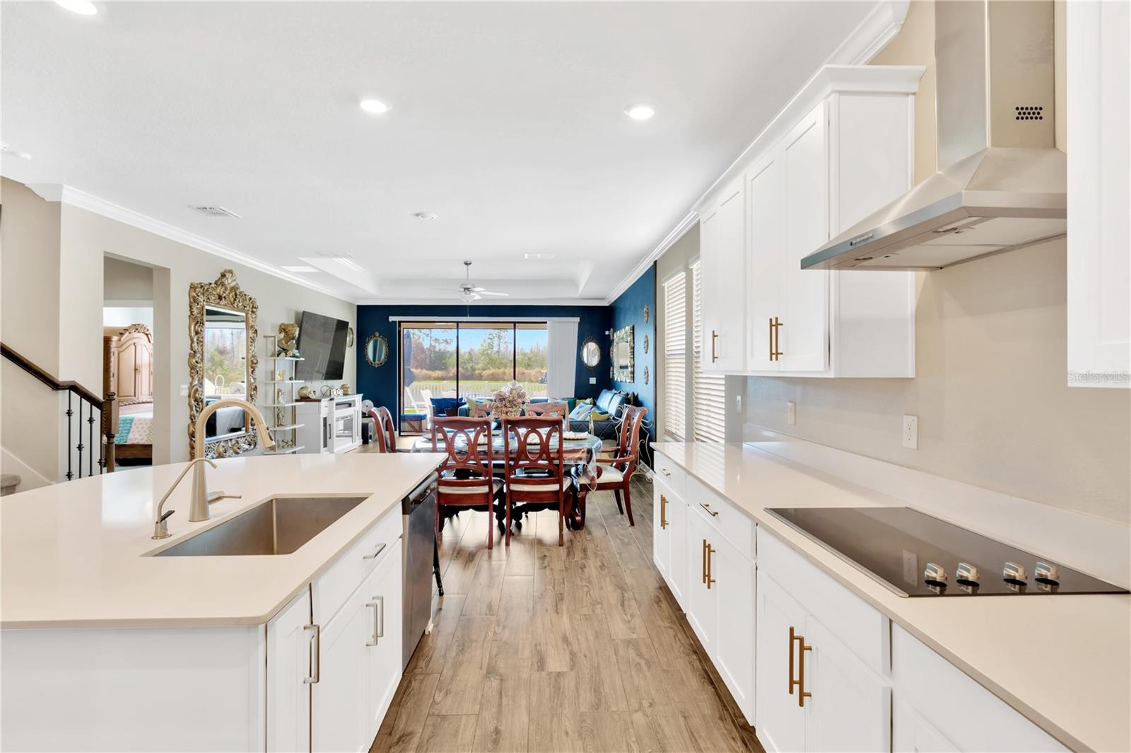 21680 VIOLET PERIWINKLE DR, LAND O LAKES, FL, 34637