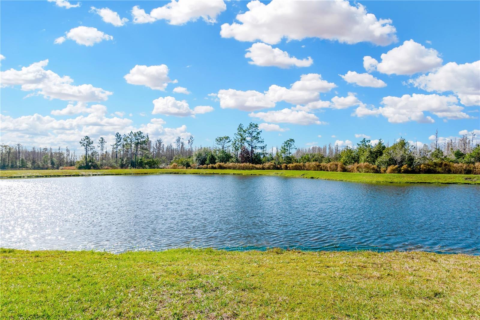21680 VIOLET PERIWINKLE DR, LAND O LAKES, FL, 34637