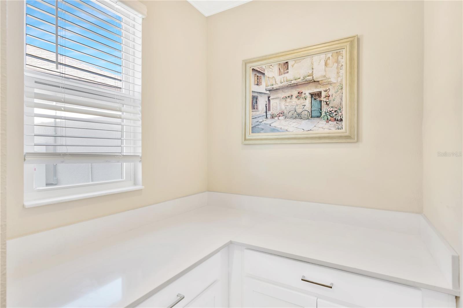 21680 VIOLET PERIWINKLE DR, LAND O LAKES, FL, 34637