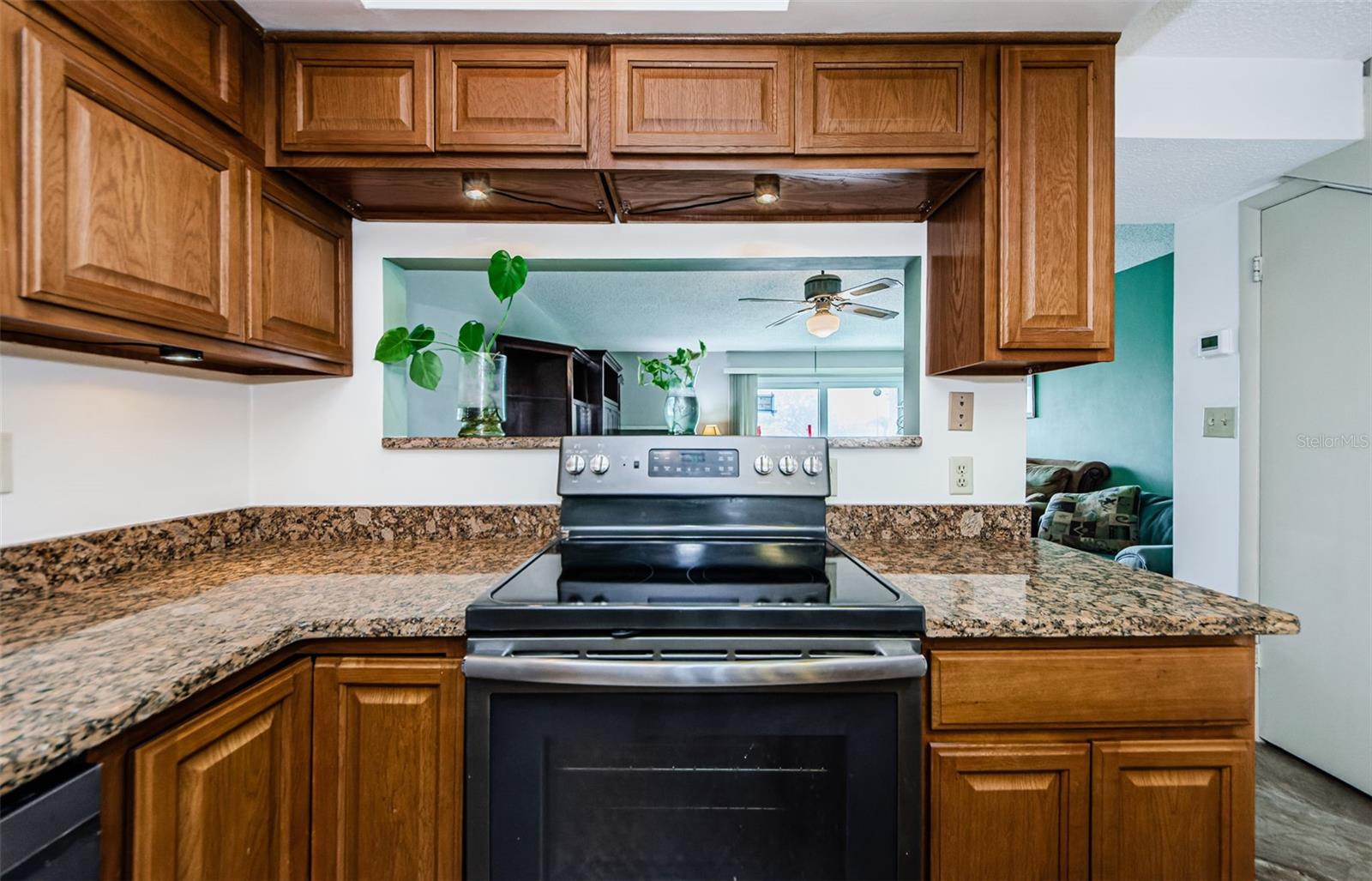 433 S PAULA DR #17, DUNEDIN, FL, 34698
