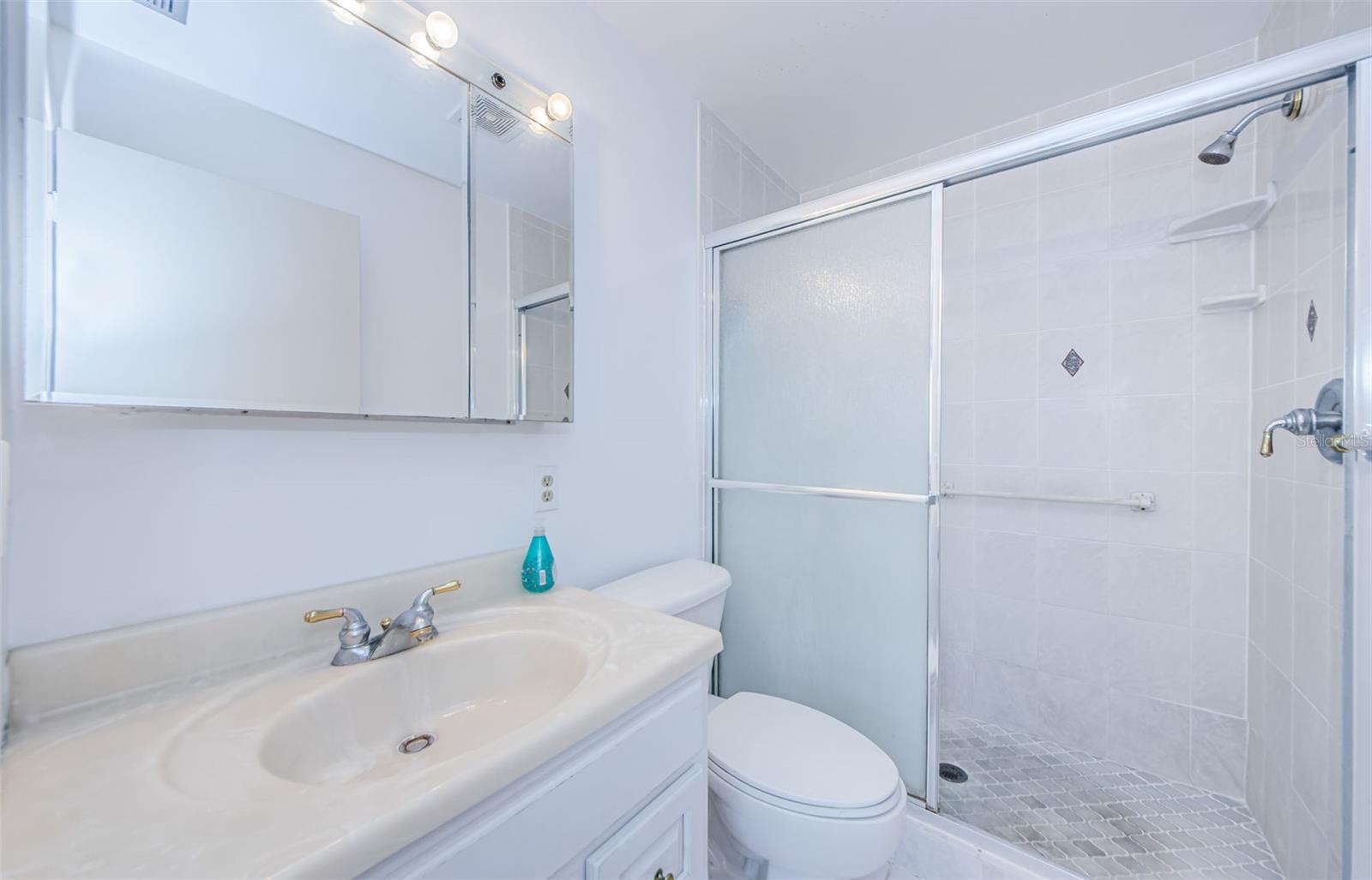 433 S PAULA DR #17, DUNEDIN, FL, 34698