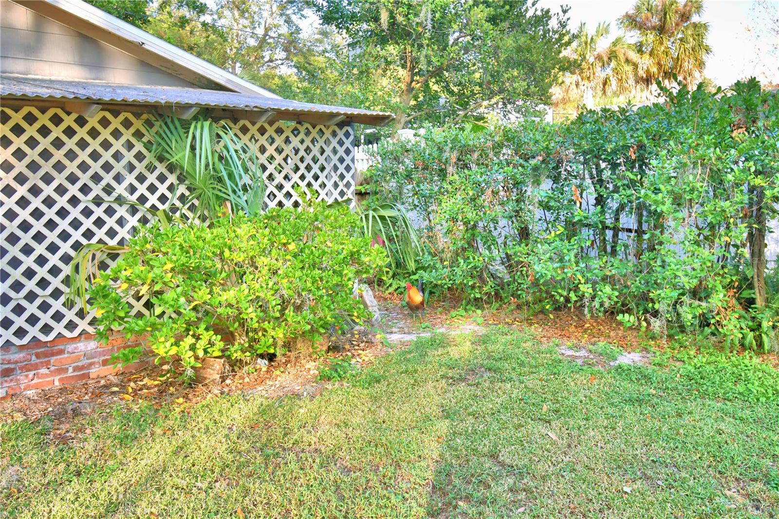 2036 LAKE ARIANA BLVD, AUBURNDALE, FL, 33823