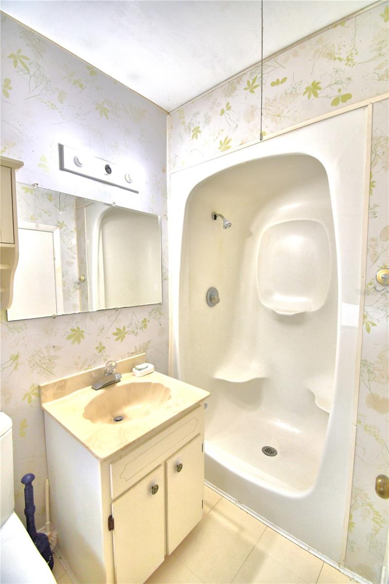 2036 LAKE ARIANA BLVD, AUBURNDALE, FL, 33823