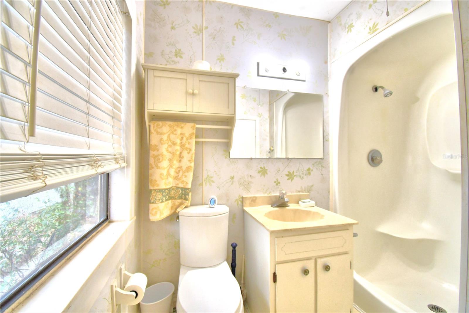 2036 LAKE ARIANA BLVD, AUBURNDALE, FL, 33823