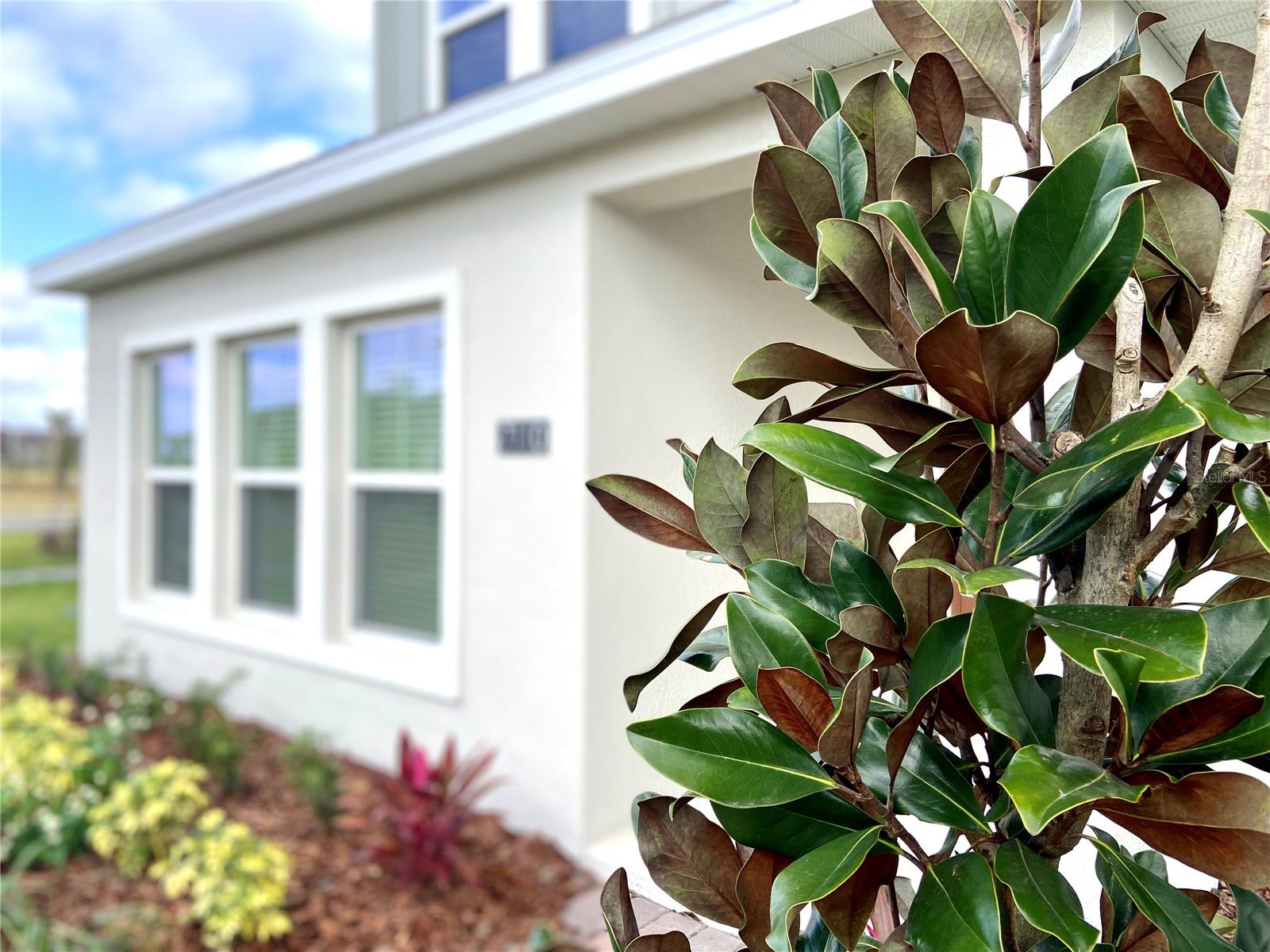 7110 SUMMER IVY ALY, ORLANDO, FL, 32829