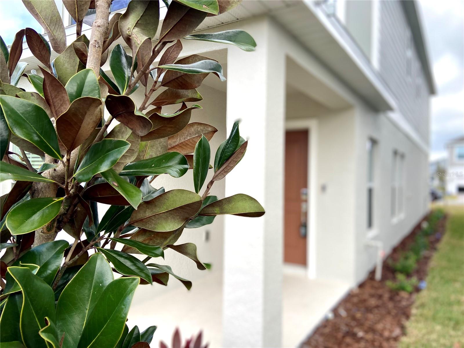 7110 SUMMER IVY ALY, ORLANDO, FL, 32829