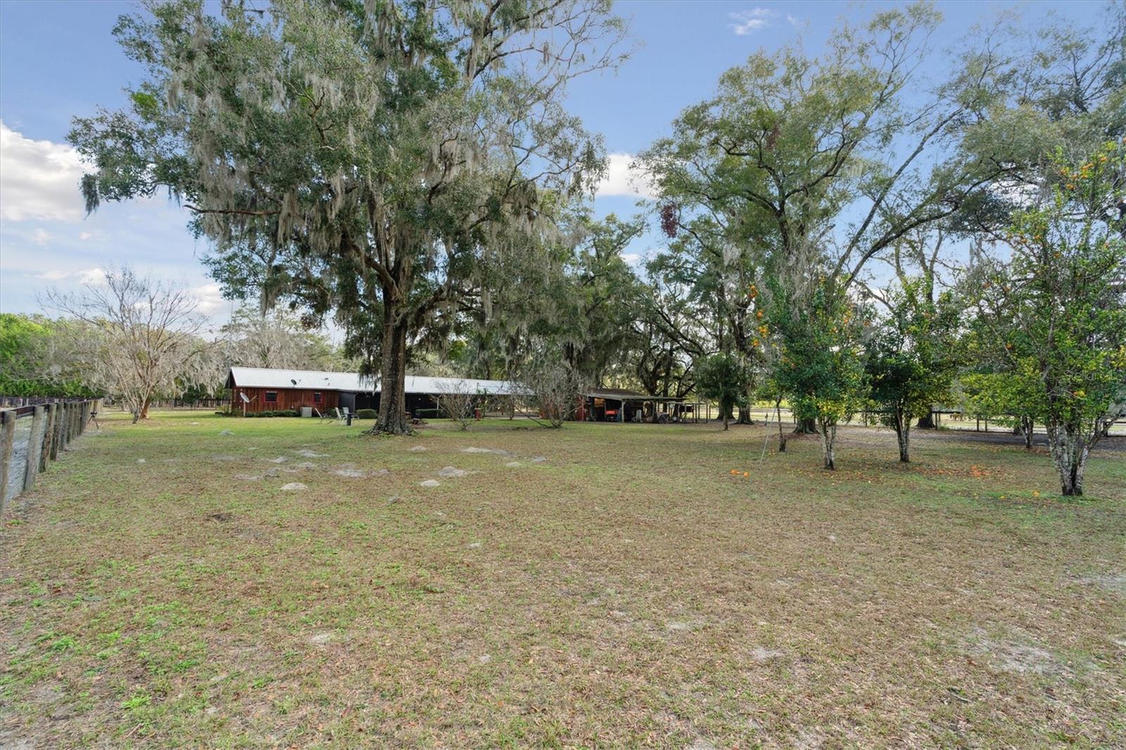 5550 NE 157TH TER, WILLISTON, FL, 32696