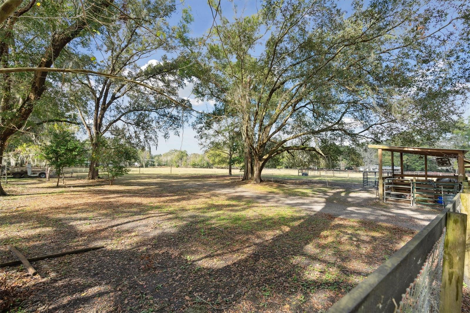 5550 NE 157TH TER, WILLISTON, FL, 32696