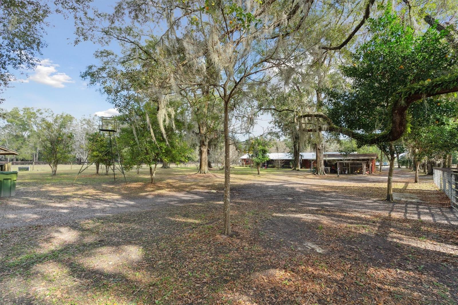 5550 NE 157TH TER, WILLISTON, FL, 32696